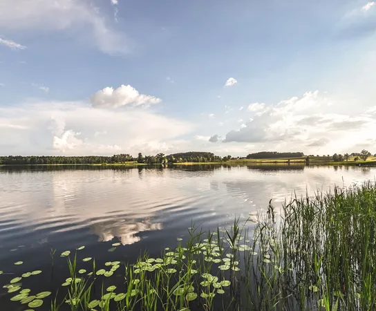 Залесье Мазуры Активный спа 01